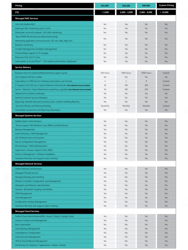 Managed Infrastructure Services Managed Infrastructure Services
